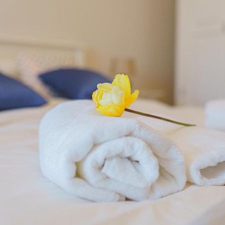 5* Mansion In City Center Kluż-Napoka Zewnętrze zdjęcie