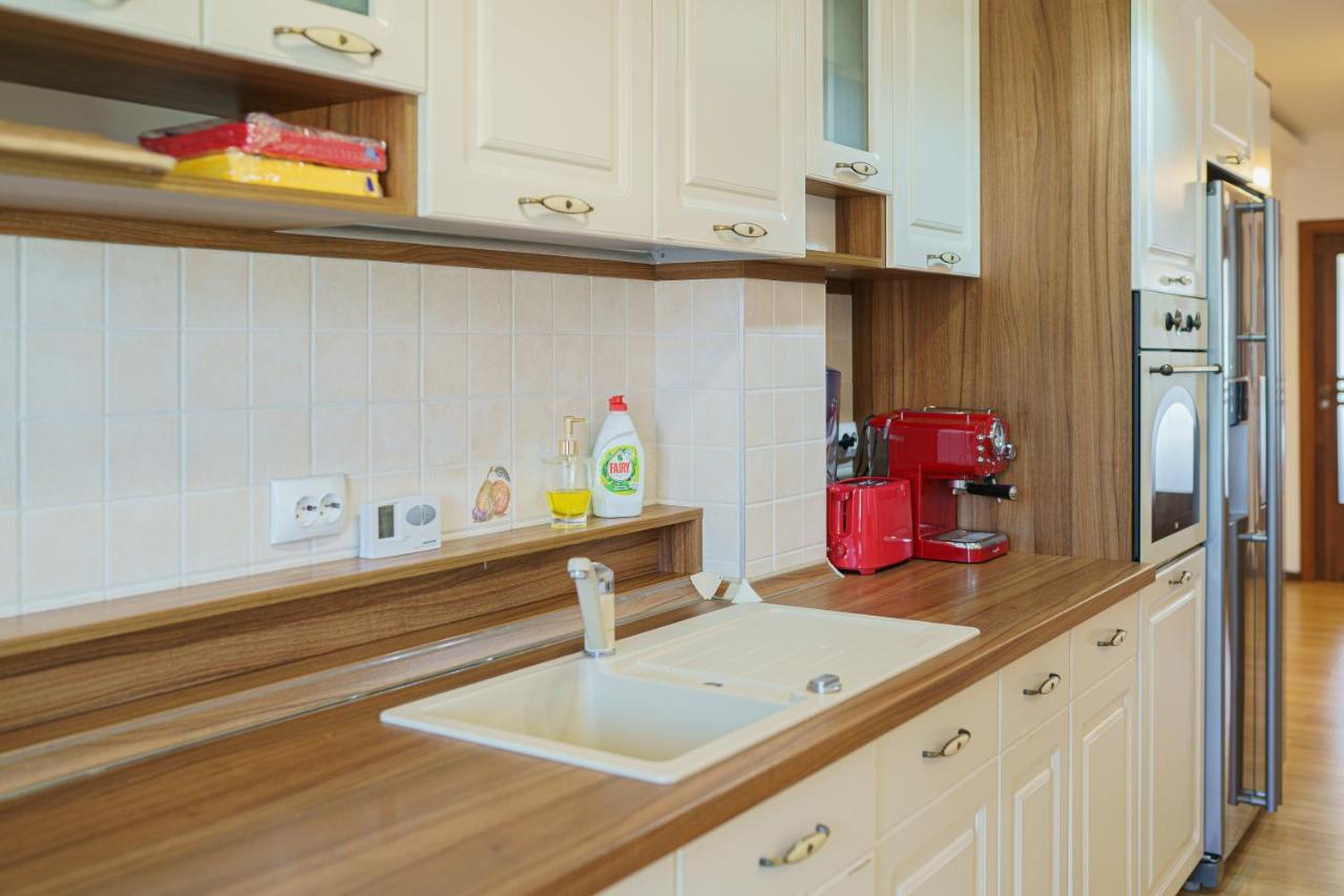 5* Mansion In City Center Kluż-Napoka Zewnętrze zdjęcie